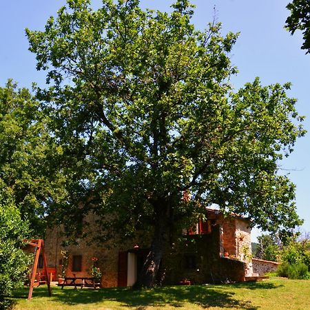 Il Venaio Bed & Breakfast Massa Marittima Ngoại thất bức ảnh