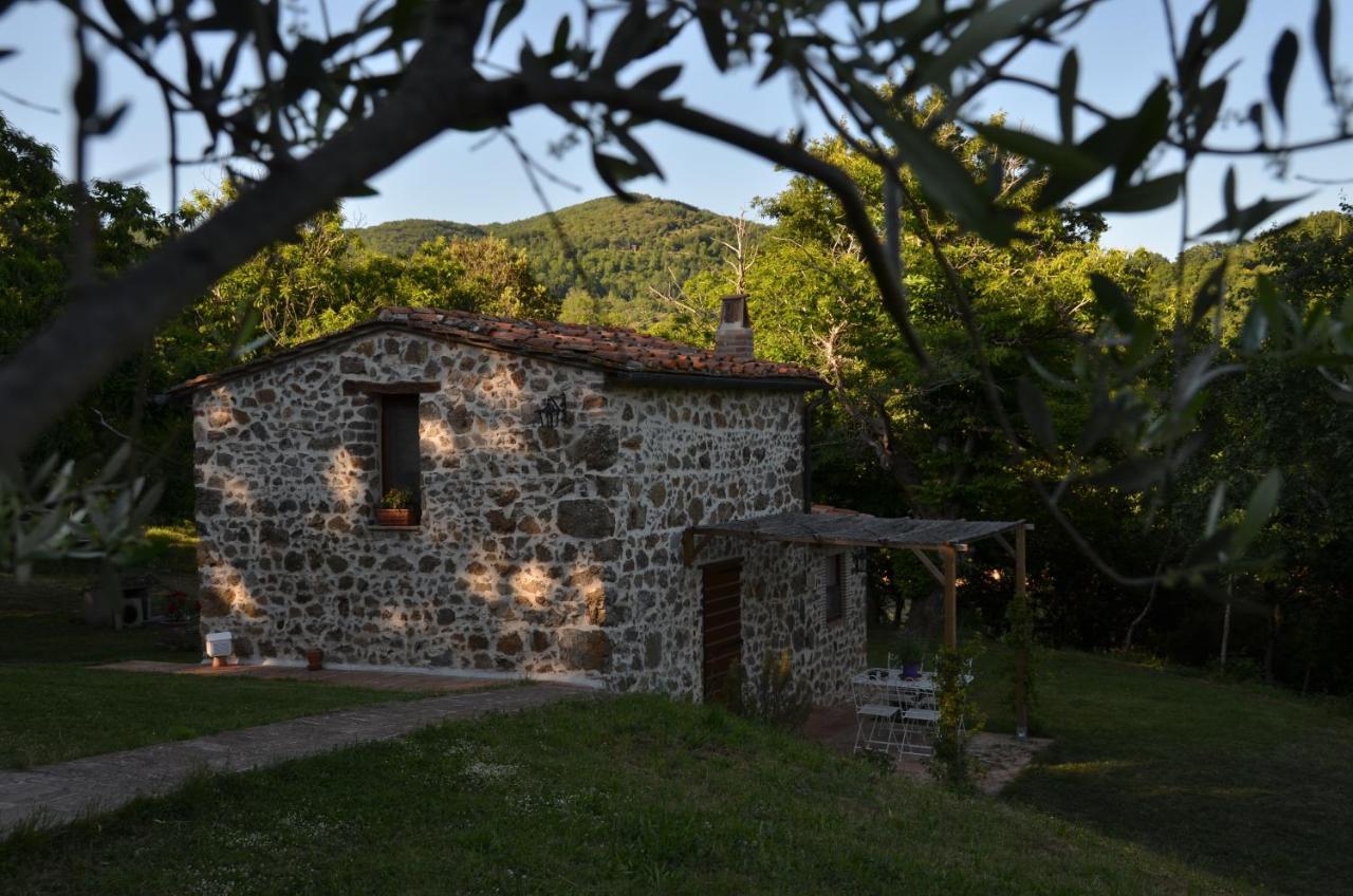 Il Venaio Bed & Breakfast Massa Marittima Ngoại thất bức ảnh