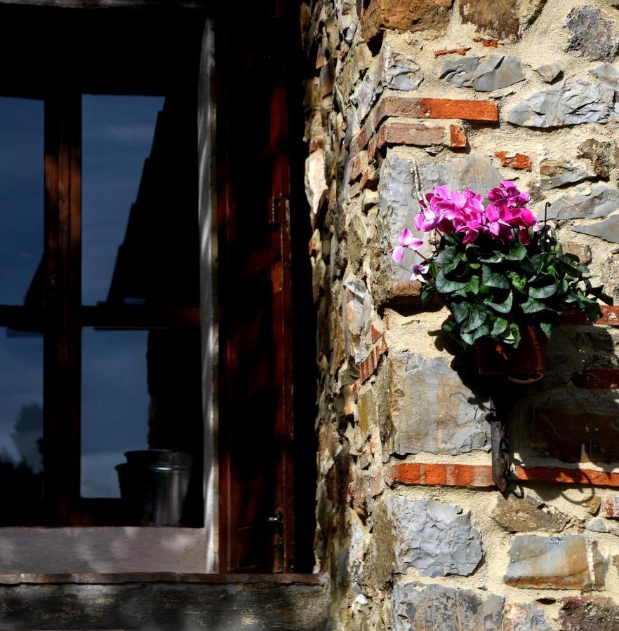 Il Venaio Bed & Breakfast Massa Marittima Ngoại thất bức ảnh