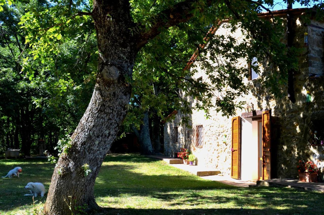 Il Venaio Bed & Breakfast Massa Marittima Ngoại thất bức ảnh