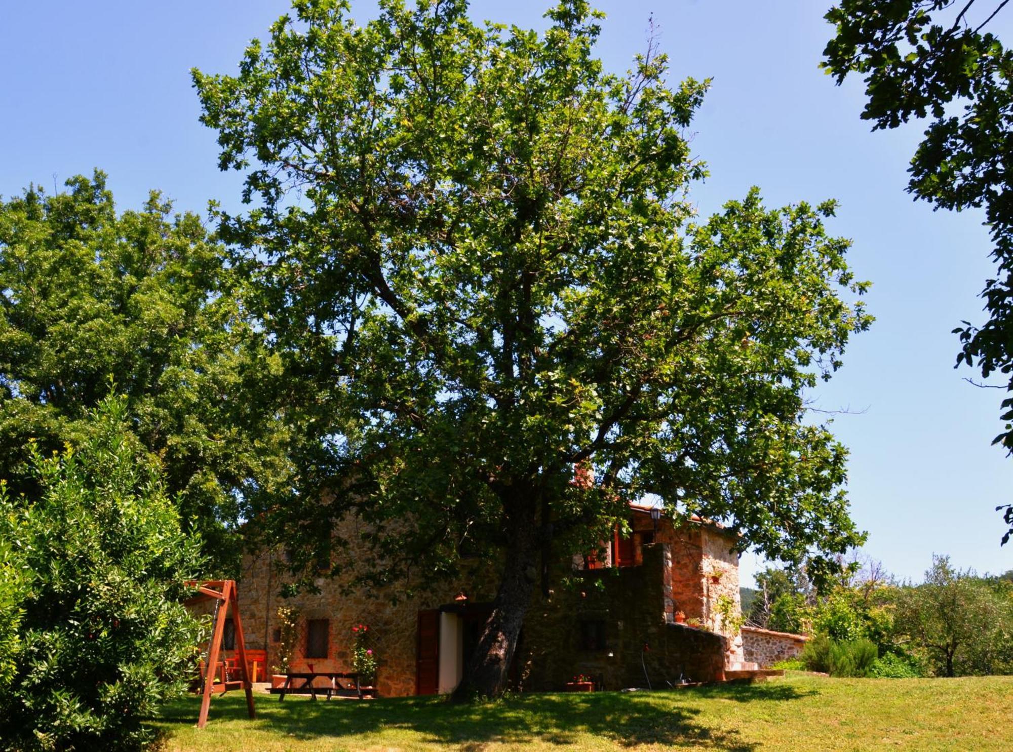 Il Venaio Bed & Breakfast Massa Marittima Ngoại thất bức ảnh