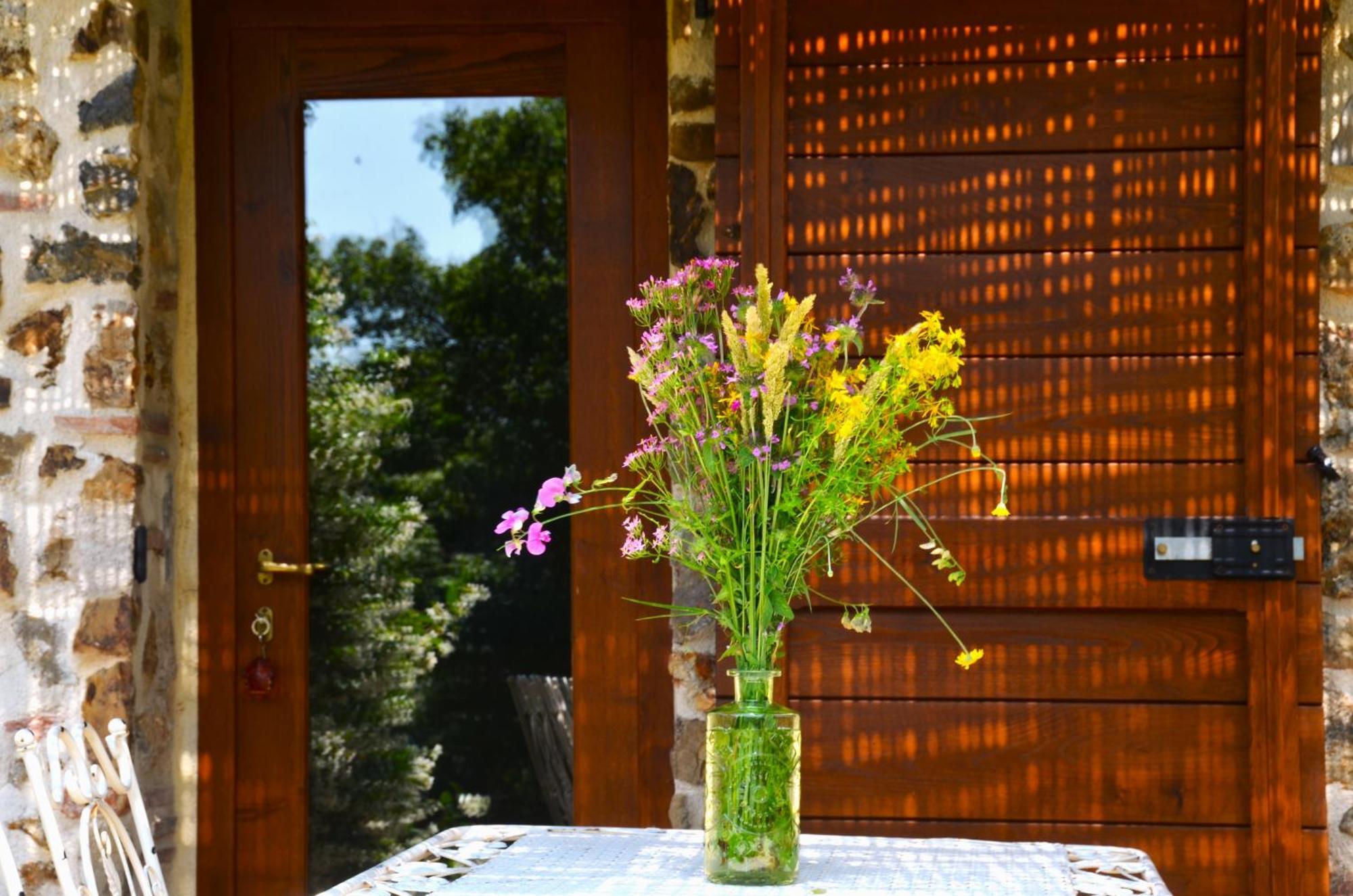 Il Venaio Bed & Breakfast Massa Marittima Ngoại thất bức ảnh